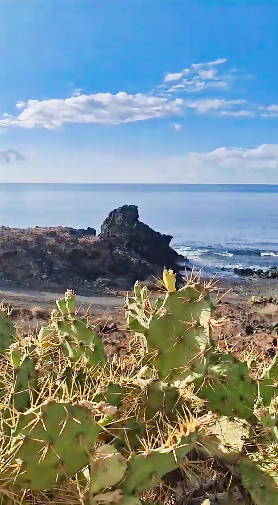 Casa Palmu Apartment - A Peaceful And Relaxing Oasis In Golf Del Sur, Tenerife Сан Мигел де Абона Екстериор снимка